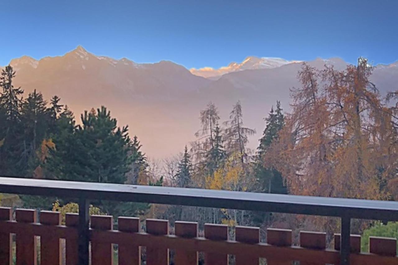 Les Mayens De L'Ours - At The Foot Of Piste De L'Ours' Slope! Agettes Екстер'єр фото